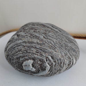 1300 gr 15 cm grande decoro grezzo, pietra marina unica adatta per acquari, terrari art