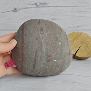 Decorazione grezza da 1600 gr e 13 cm, pietra marina unica adatta per acquari e terrari, roccia viola.