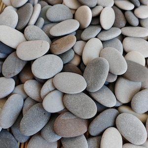 Flat light Elongated Beach Stones: Natural Sea Pebbles, Craft Supplies, (stones to be skipped across the water)