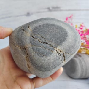 Black gray patterned beach stone, 950 gr, 11 cm, unique beach stone suitable for aquarium, terrarium art, fish tank decor