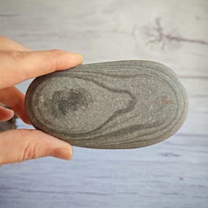 Sea rock 11 cm