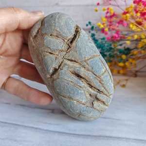 Broken unique model sea stone 11 cm, 450 gr free shipping