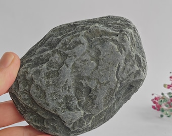 Sea rock 11 cm