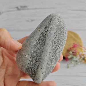 Black gray banded patterned beach stone, 10 cm, 260 gr, unique beach stone suitable for aquarium, terrarium art, fish tank decor