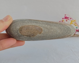 Beach Stone 12 cm, Sea Stone, Pebble, Long Pebble
