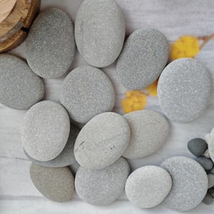 Puede incluir: Una colección de piedras de río grises, lisas y de forma ovalada, dispuestas en un grupo. Las piedras varían en tonos desde gris claro a medio, presentando texturas naturales y bordes redondeados. Cada piedra tiene un aspecto sólido y mate.