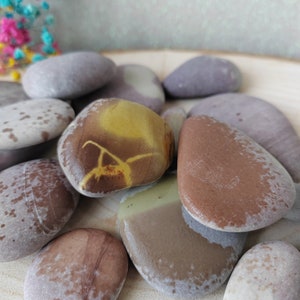 16 piezas de piedra de mar de 2-10 cm con la letra a, decoración de acuario, piedra húmeda, letra a