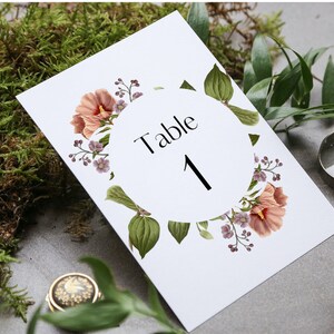 Tabelnummers Roze Klaprozen Voor Digitale Download