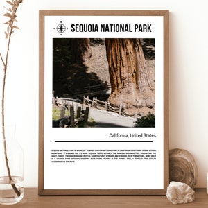Sequoia National Park, stampa poster di viaggio, decorazione murale da viaggio Sequoia, stampa poster Sequoia, arte poster Sequoia, viaggio