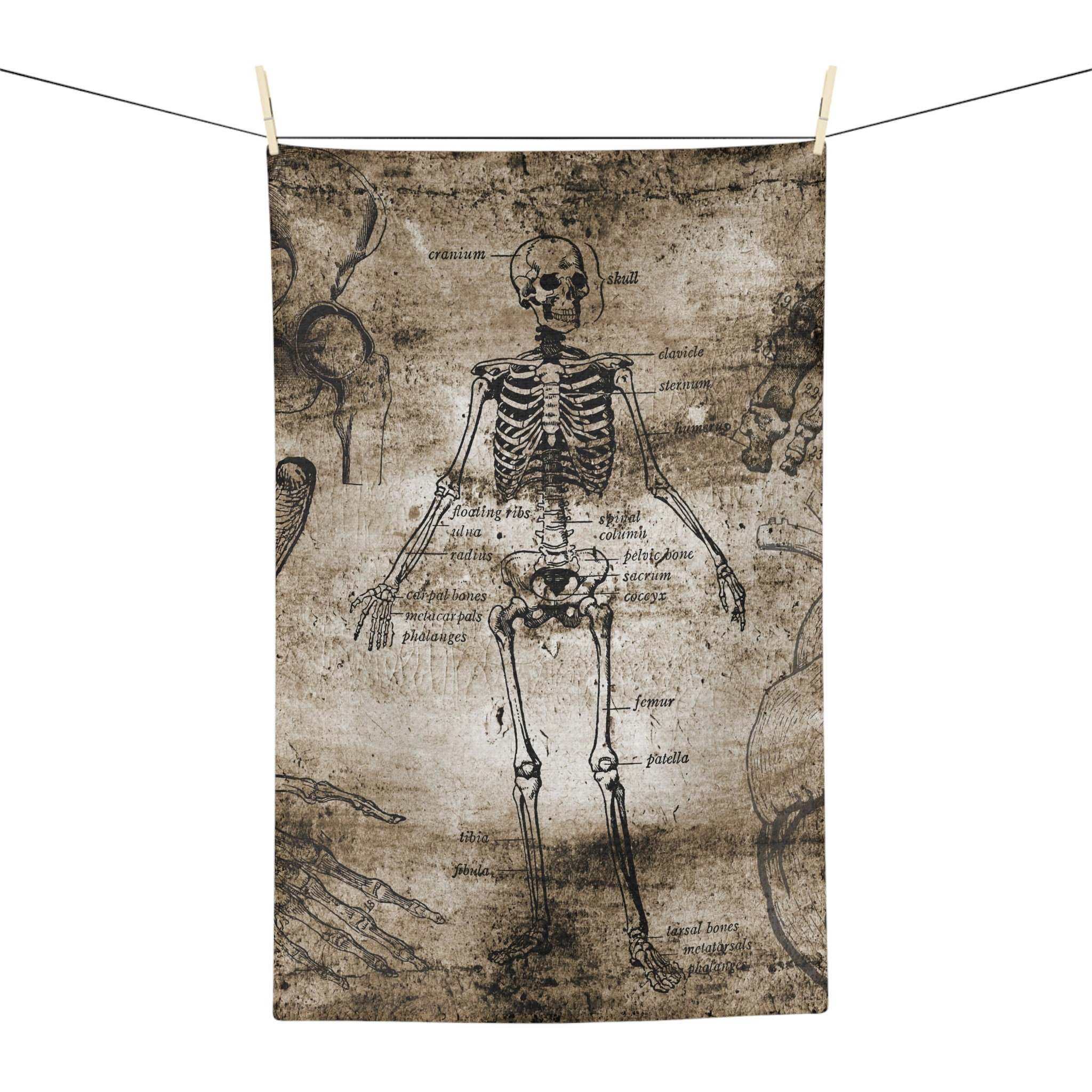 Vintage Anatomy Tea Towel, Goth Kitchen Towel, Gothic Soft Tea Towel 