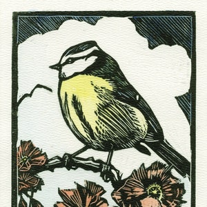 Bluetit, Linocut Print, Hand Coloured, Garden Bird, bird linocut, bird art