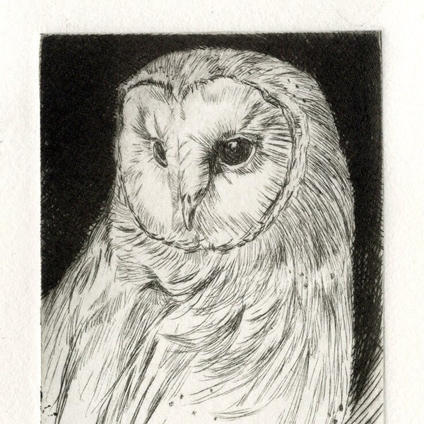 Barn Owl Drypoint, owl, etching, drypoint, limited edition, print