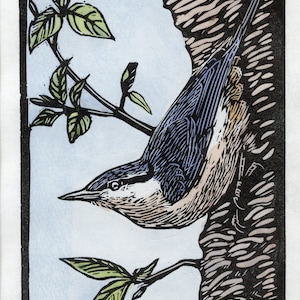 Nuthatch, Linocut Print, Hand Coloured, Garden Bird, bird linocut, bird art