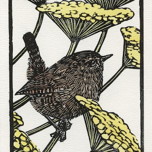 Wren and Tansy, Linocut Print, Hand Coloured, Garden Bird, bird linocut, bird art