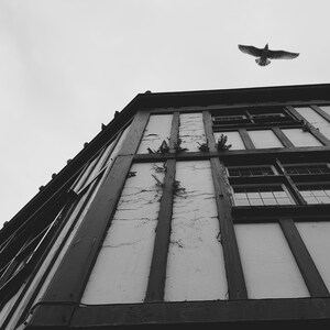 Downloadable photo download Swansea Wales black and white digital photo download wall art office art architectural art