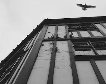 Fotografía de Swansea, Gales, Impresión en blanco y negro, Edificio, Arte de aves (Descarga digital)