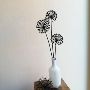 Cebolla ornamental seca y barnizada | Allium