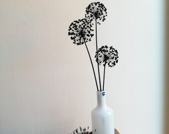 Dried & varnished ornamental onion | Allium