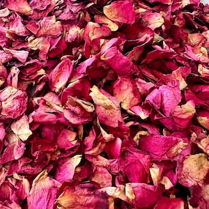 Petali di rosa essiccati Fiore di rosa Coriandoli naturali Decorazione di nozze Composizione floreale Petali di rosa veri Fiori naturali