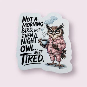 Not A Morning Bird sticker, Cute Stickers, Owl Sticker, Book lover gift, Waterproof sticker, Water bottle sticker, Owl Lover