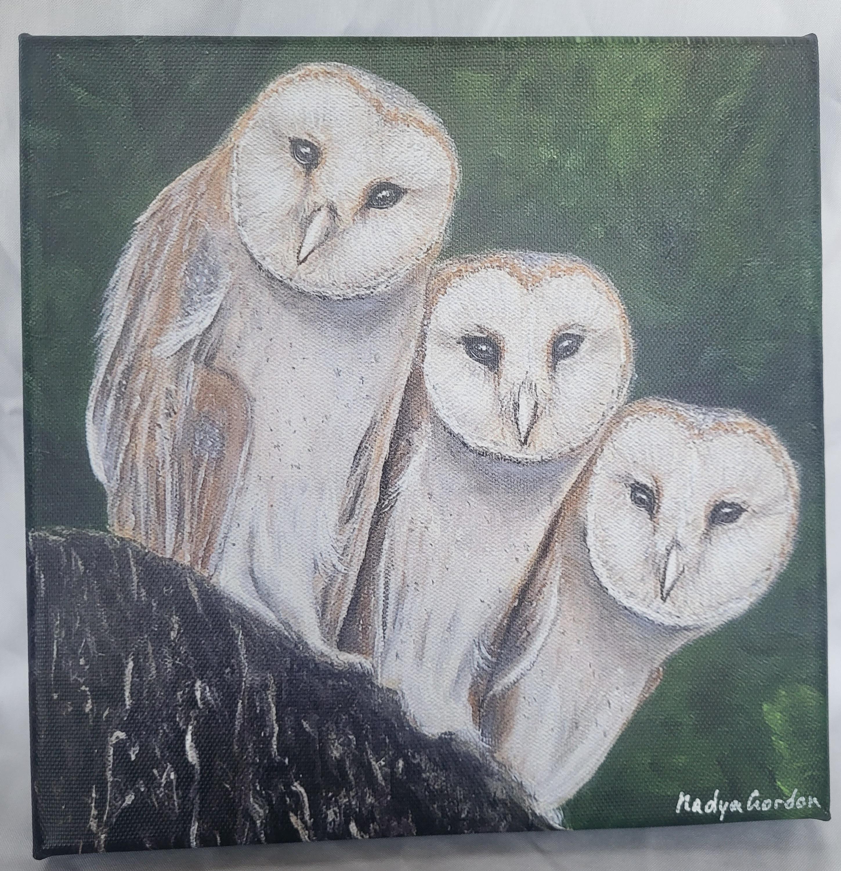 Barn Owls Canvas Print: Nadya Gordon Original Painting, 8x8 Wall Art