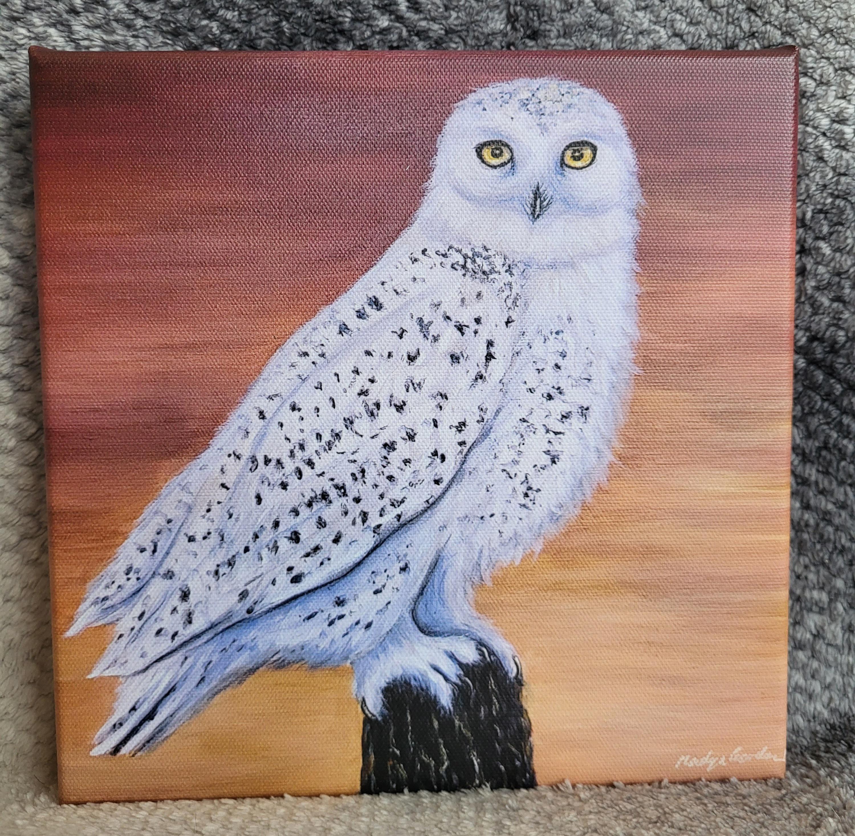Snow Owl Canvas Print of Painting 8x8