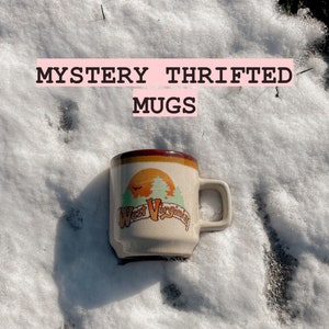 2 Mystery Thrifted Mugs!