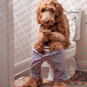 Funny Goldendoodle Bathroom Wall Art - Digital Download - Dog on Toilet Print - Hilarious Pet Decor