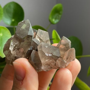 Cluster di cristalli di quarzo fumé svizzero di alta montagna Esemplari minerali di alta qualità con rocce e cristalli