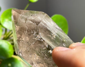 May include: A clear quartz crystal point with a smoky brown hue. The crystal is faceted and has a pointed tip. The crystal is sitting on a green plant.