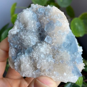 Small Fluorite crystals clustered on quartz New Mexico blue crystals