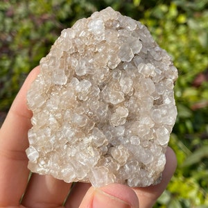 Natural Colorado Calcite Specimen Mineral Collection Display Specimen Raw Calcite Crystals Genuine Rocks and Minerals US Minerals