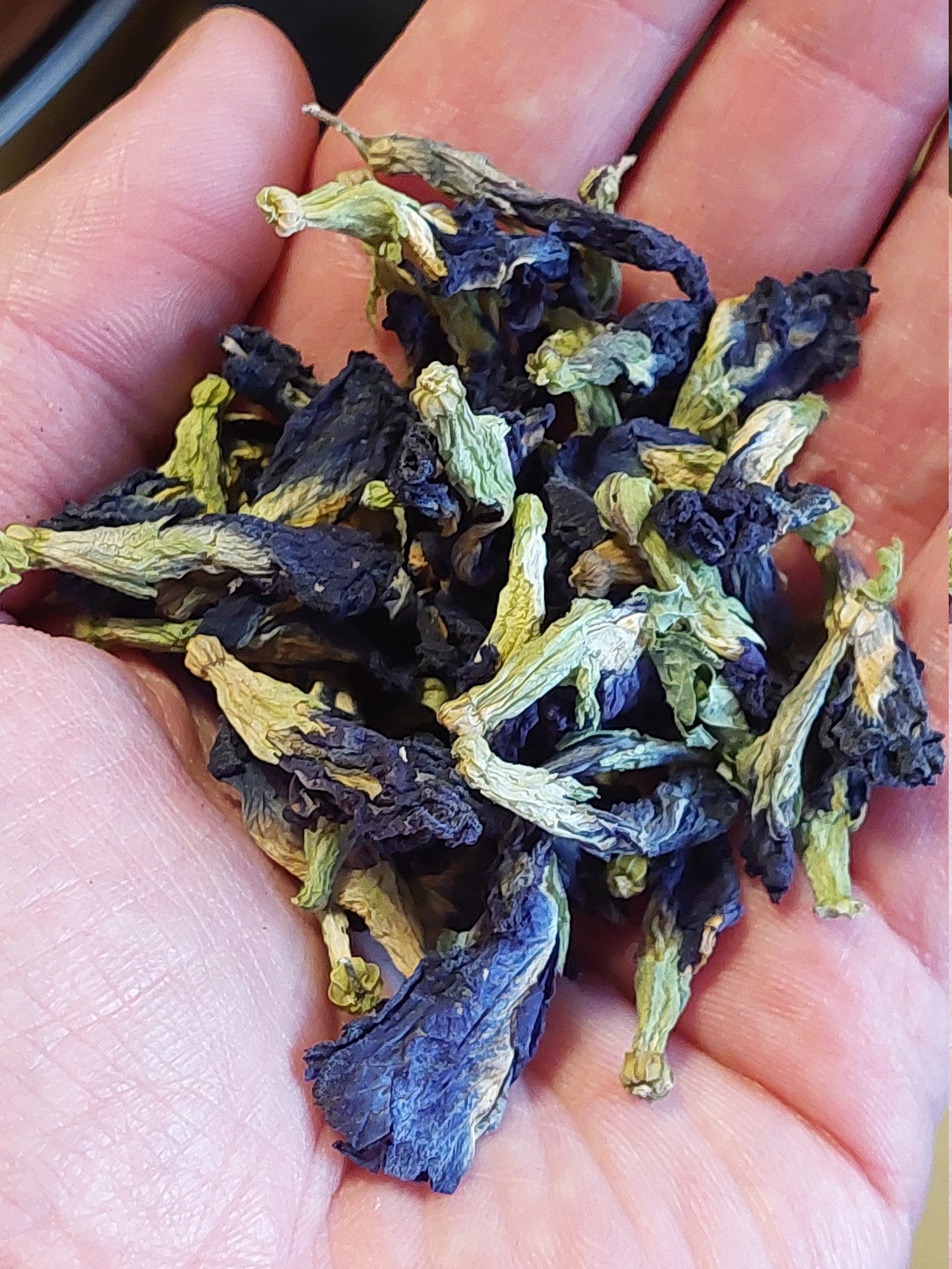 DRIED HERBS 1/2 Oz Bulk Herbs Loose Herbs Assorted Herbs Etsy