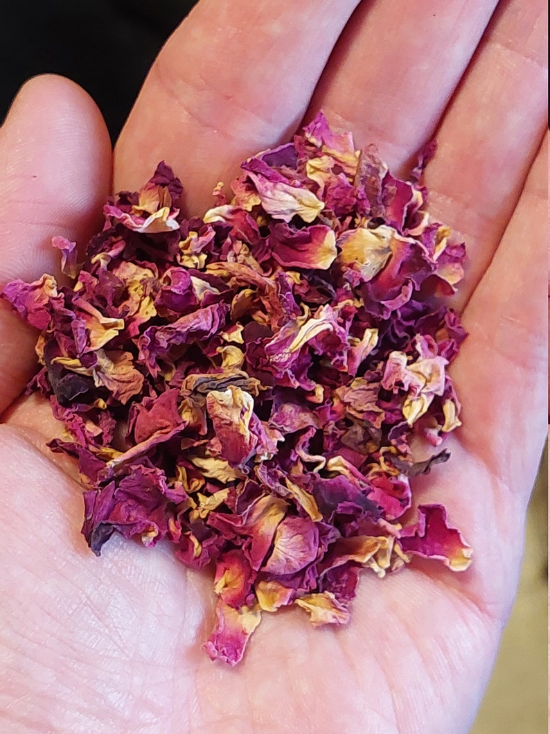 DRIED HERBS 1/2 Oz Bulk Herbs Loose Herbs Assorted Herbs Etsy