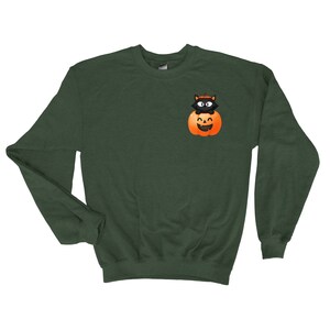 Pumpkin Halloween Sweatshirt, Cat Halloween Shirt, Pumpkin Shirt, Fall Sweatshirt for Women