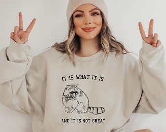 It Is What It Is And It Is Not Great Sweatshirt, Mental Health Sweatshirt, Funny Sweatshirt Women, Meme Sweatshirt, Raccoon Shirt, Gag Tee