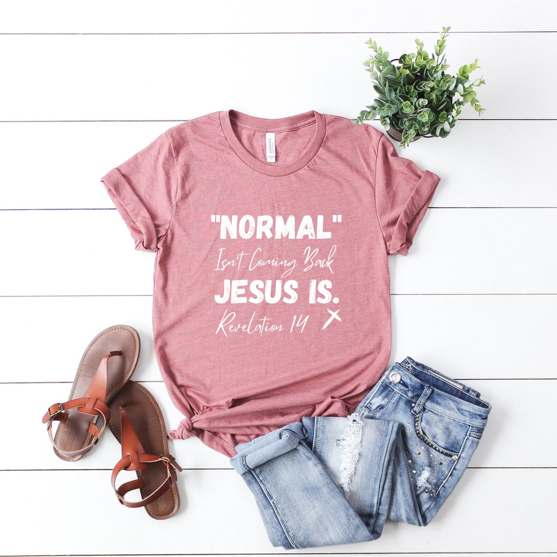 Normal Isn't Coming Back Jesus is Shirt Religious Shirt | Etsy