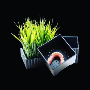 Denture Box, Denture Case, Denture Bath, Retainer Case, holder