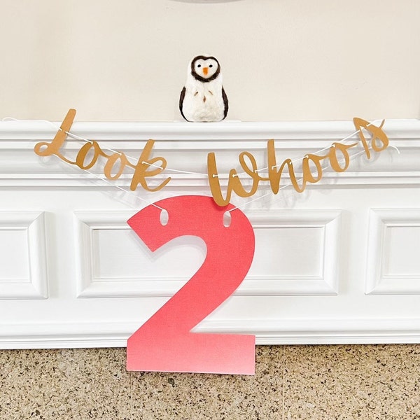 Look Whoo's Two Birthday Banner for 2nd Birthday Party Celebration for Girl or Boy, 2nd, 3rd, 4th, or 5th birthday banner, Owl theme