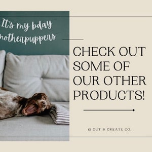 May include: A relaxed brown and white dog yawns on a gray couch, with a striped blanket. Text reads "It's my bday motherpuppers" above and "CHECK OUT SOME OF OUR OTHER PRODUCTS!" to the right.