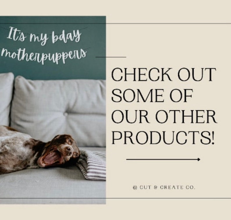 May include: A relaxed brown and white dog yawns on a gray couch, with a striped blanket. Text reads "It's my bday motherpuppers" above and "CHECK OUT SOME OF OUR OTHER PRODUCTS!" to the right.