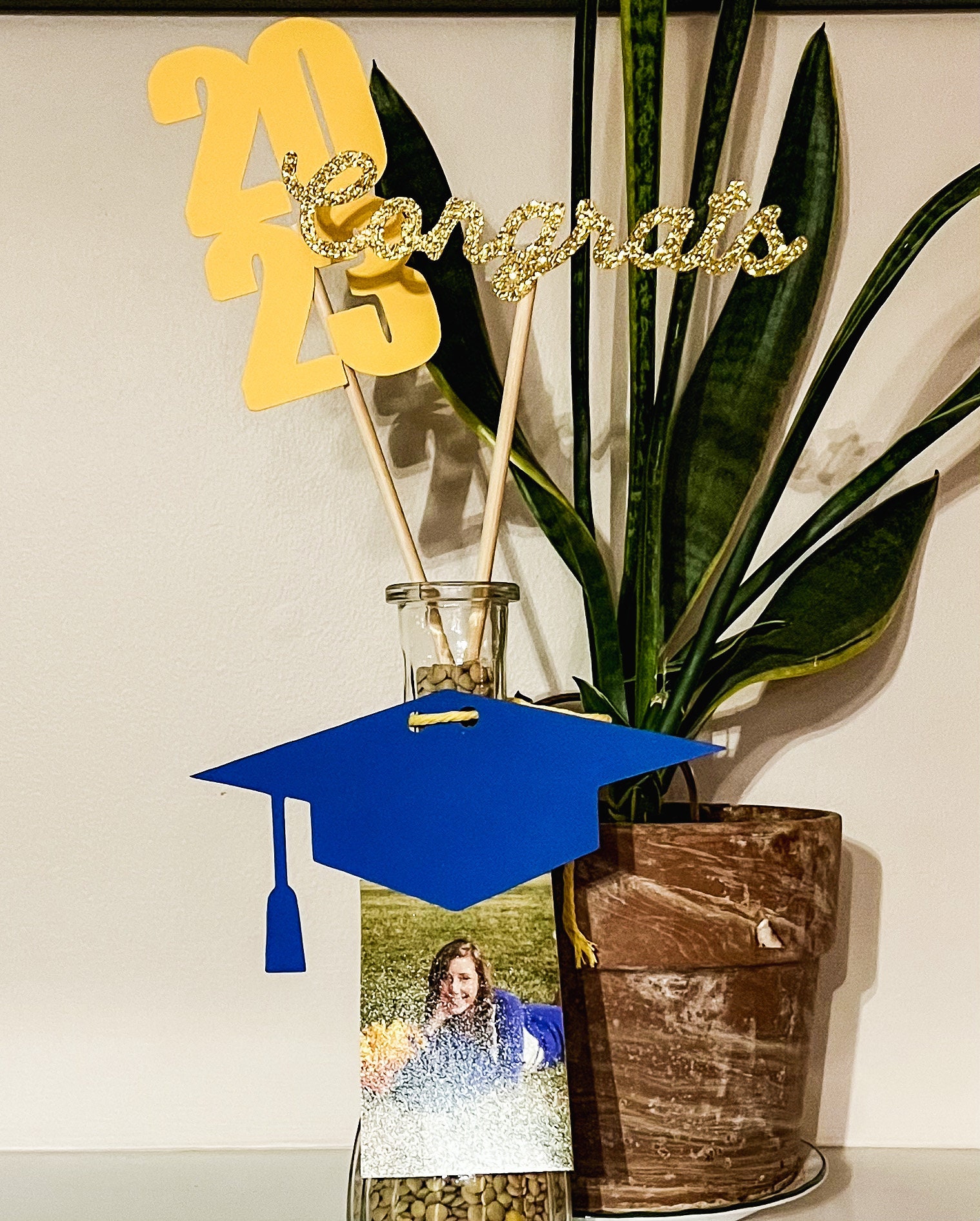 Graduation Mini Cards Mini Graduation Card Banner: Party Decoration for Card Box - Etsy Canada
