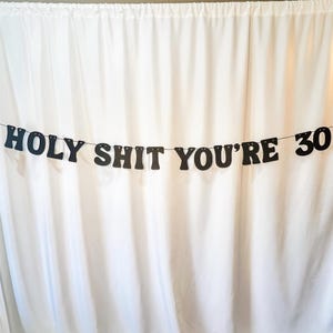 30th Birthday Banner, Happy 30th Birthday, Holy Shit You're 30 Birthday Banner, Letter Garland, Humorous 30th Birthday Decor, Funny Birthday image 3