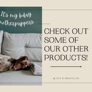 May include: A brown and white dog is lying on a grey sofa, yawning. The dog is in front of a green chalkboard with the text "It's my bday motherpuppers" written in white. The image has a text overlay that says "CHECK OUT SOME OF OUR OTHER PRODUCTS!" with the text "CUT & CREATE CO." below.