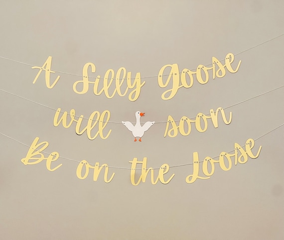Silly Goose Baby Shower Banner: Photo Backdrop Decoration
