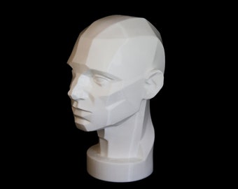 Planar Head Model, Asaro Head Model, Multi Faceted Figurine 3D Printed | gift for artist | beginner artist | shading practice | John Asaro