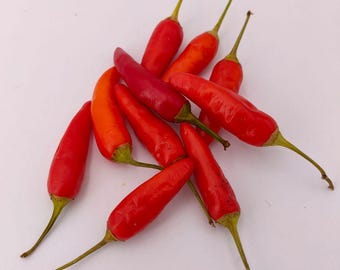 Matchbox Hot Pepper Seeds: Organic Heirloom Vegetable, Container Gardening