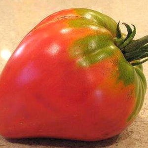 Red Strawberry, Tomato, German Heirloom Garden Seeds Open Pollinated Container Gardening Organic Vegetable Seeds Non-GMO Seed Packets