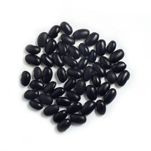 Oaxacan Black, Dry Bean, Rare Mexican Heirloom Garden Bean Seeds - Non-GMO, Open Pollinated Vegetable Seed Packets for Container Gardening
