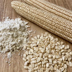Mosby&#39;s Prolific White, Dent Corn, Organic Heirloom Garden Seeds - Non-GMO, Open Pollinated Vegetable Seed Packets for Container Gardening